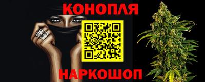 спиды Камышлов