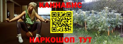 спиды Камышлов