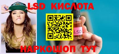 спиды Камышлов