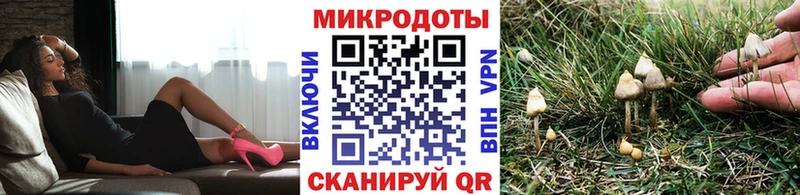 как найти закладки OMG зеркало Псилоцибиновые грибы Psilocybe Унеча