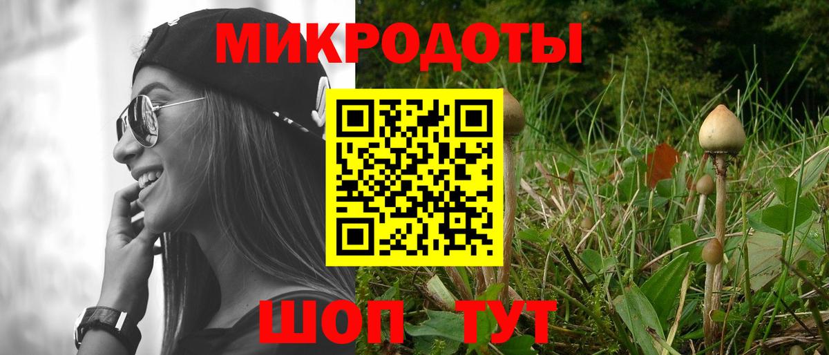 как найти закладки  Вход с VPN  Унеча  Псилоцибиновые грибы Cubensis 
