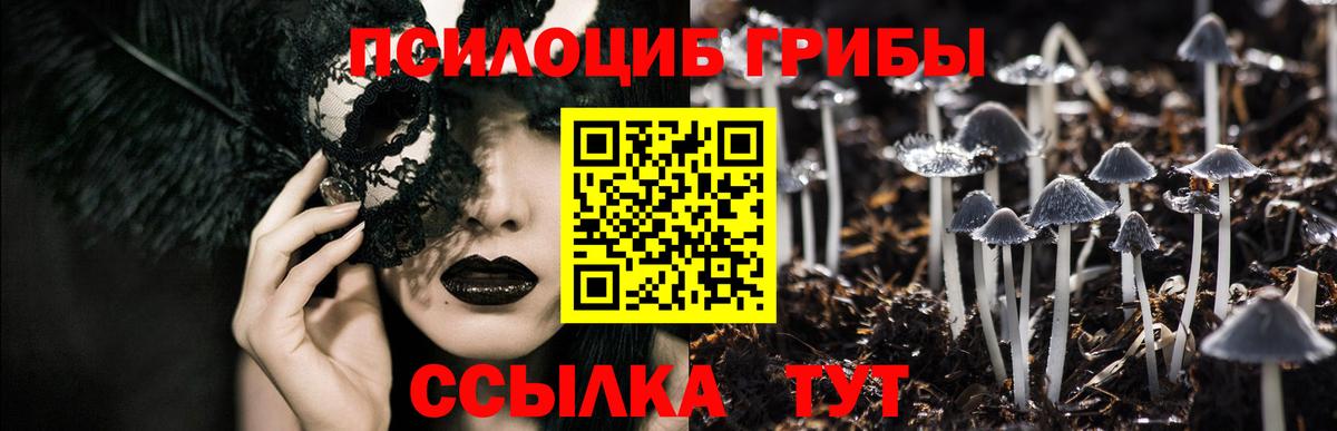 Галлюциногенные грибы GOLDEN TEACHER Унеча